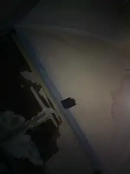 joeycbigcock online show from 04-09-26, 01:07