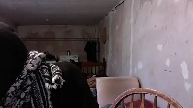 LoretoMx online show from 11-20-25, 08:53