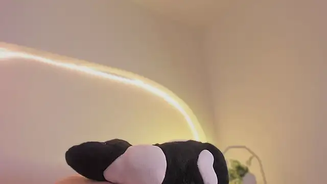 katiepeach  online show from 03-12-26, 03:12