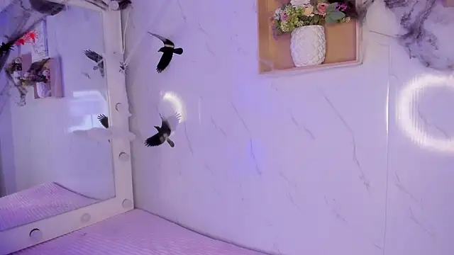 sabrinahimss online show from 10-29-25, 04:33