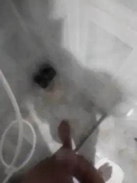 betinhodelas online show from 11-30-25, 05:08