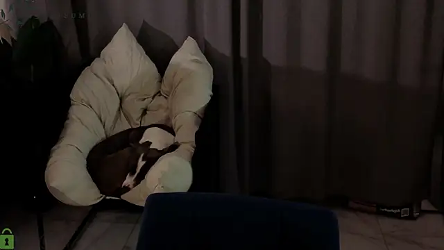 Eva Natsumi online show from 01-14-26, 03:26