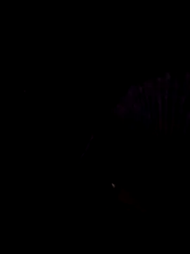 Snapshot of StaciGoodman chatting on 02-01-25, 01:44 StaciGoodman online show from 02-01-25, 01:44