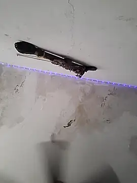 culitotragon24 online show from 12-17-25, 06:46