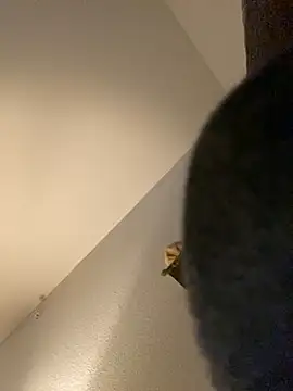 Snapshot of goldbuni chatting on 12-30-24, 01:25 goldbuni online show from 12-30-24, 01:25