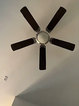 Snapshot of goldbuni chatting on 12-19-24, 11:03 goldbuni online show from 12-19-24, 11:03