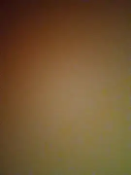 Snapshot of mendelicius chatting on 12-15-24, 05:10 mendelicius online show from 12-15-24, 05:10