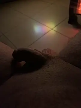 Antalyaburak online show from 02-14-25, 01:13