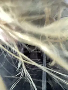 emma neko online show from 04-15-26, 04:22