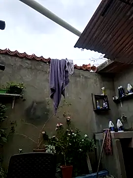 room 24funn online show from 12-19-25, 03:14