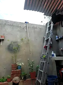 room 24funn online show from 10-19-25, 02:31