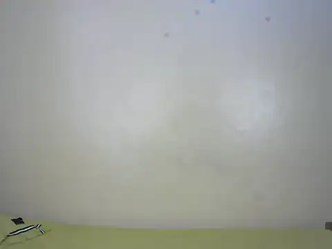 StarBarbiee online show from 11-15-25, 10:08