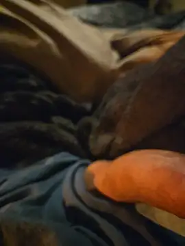 ruffuuss online show from 01-10-26, 08:09