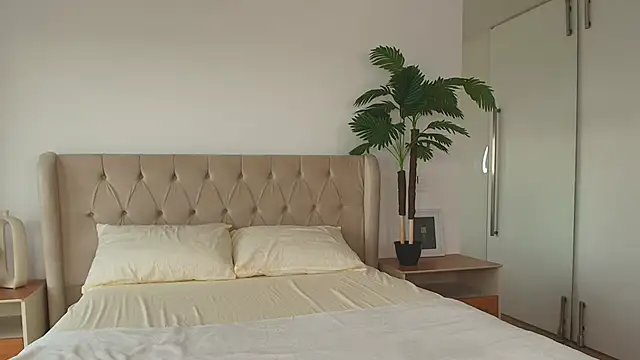 Ariella Sol online show from 02-11-26, 07:47