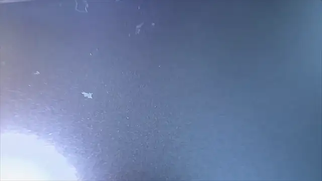 MyPhoenix online show from 04-15-26, 06:52