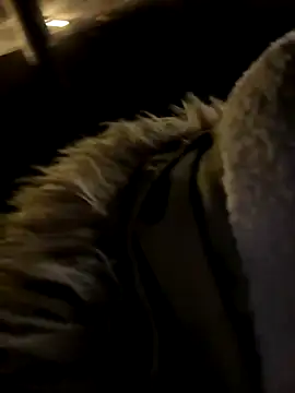 Ner0924 N online show from 12-02-24, 04:26