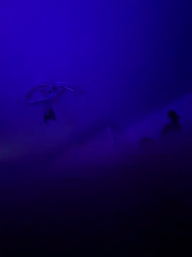 1ninefellababy online show from 01-10-26, 10:43