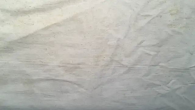 beforeyou69 online show from 11-06-25, 08:07