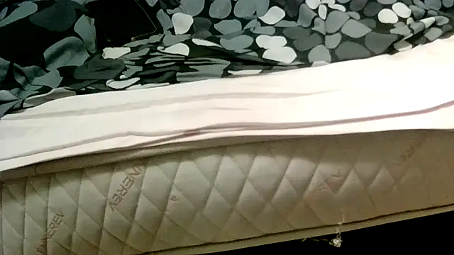 robertone80 online show from 03-02-25, 02:30