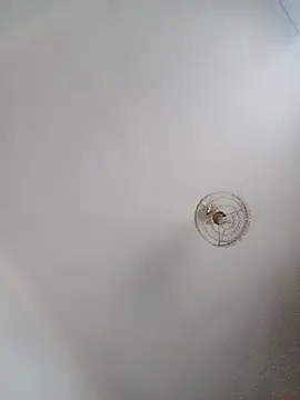 katymojadit online show from 01-20-25, 03:28