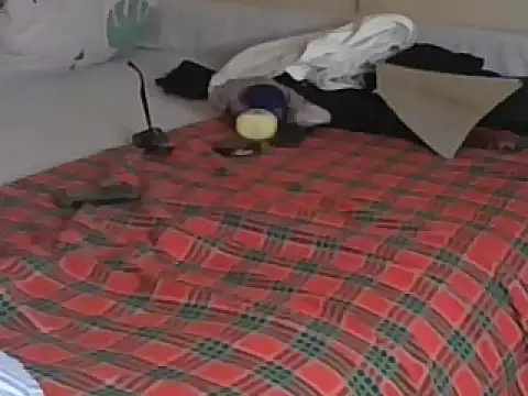 Bootiq online show from 12-19-25, 08:22