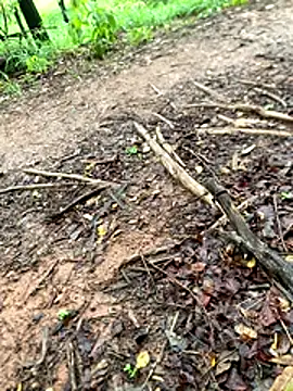 Maurob18 online show from 11-02-25, 11:26