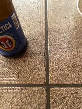 Maurob18 online show from 04-02-26, 04:46