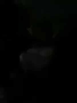 kidnovo online show from 02-21-26, 02:24