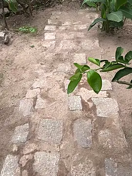 king cum  online show from 02-18-26, 02:24