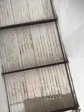 king cum  online show from 02-19-26, 04:48