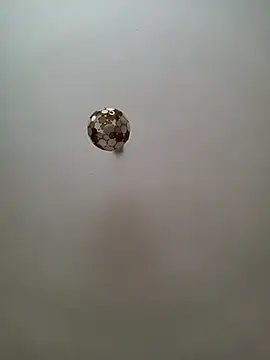 Snapshot of JulianJ50 chatting on 11-12-25, 02:32 JulianJ50 online show from 11-12-25, 02:32