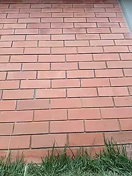 SamaraJay1 online show from 03-30-26, 05:03