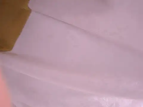 Snapshot of tatsumi_nao chatting on 01-22-25, 11:32 tatsumi nao online show from 01-22-25, 11:32