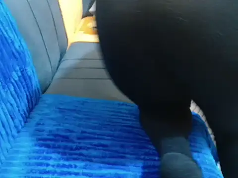 leslysexygirl online show from 02-16-26, 05:28