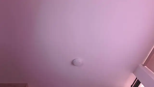 Cutie Shy  online show from 03-24-26, 01:11