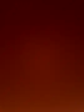 Wild wifey online show from 12-02-25, 05:14