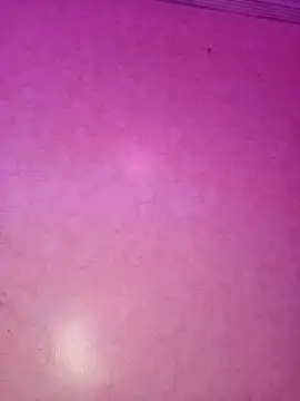 ---sophia--- online show from 11-21-25, 11:04