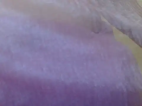 LOVERIAKOL online show from 03-03-26, 10:22