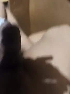 BustedKeeping online show from 04-16-26, 12:39