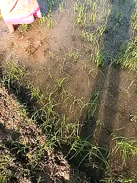 Snapshot of hairipussy2 chatting on 02-07-25, 10:29 hairipussy2 online show from 02-07-25, 10:29