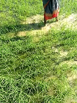 Snapshot of hairipussy2 chatting on 02-07-25, 03:55 hairipussy2 online show from 02-07-25, 03:55