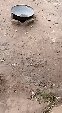 Snapshot of hairipussy2 chatting on 02-20-25, 10:59 hairipussy2 online show from 02-20-25, 10:59