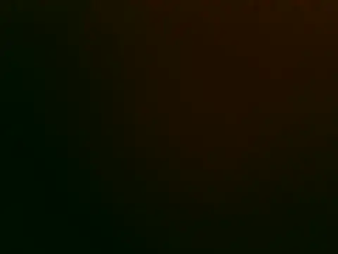 Tiger202441 online show from 11-12-25, 10:46