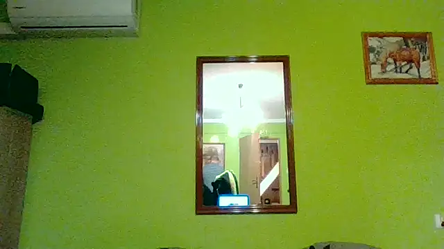 Tiger202441 online show from 04-28-26, 08:13
