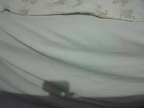 Snapshot of Tiger202441 chatting on 02-13-25, 11:15 Tiger202441 online show from 02-13-25, 11:15