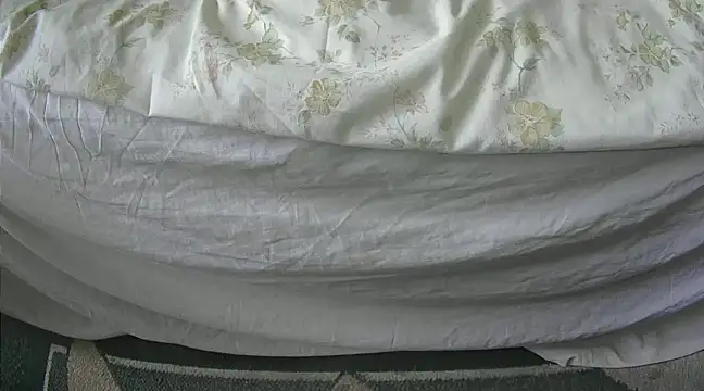 Snapshot of Tiger202441 chatting on 02-27-25, 10:44 Tiger202441 online show from 02-27-25, 10:44