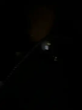 Asia-Melody online show from 03-02-25, 12:25