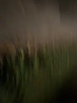 esteraulxxx online show from 12-04-25, 06:12