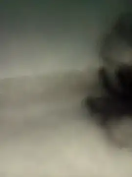 alexmoragomez online show from 04-20-26, 12:46