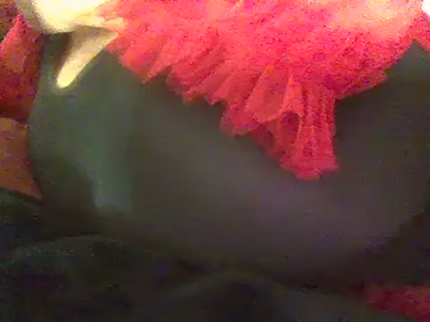 RoxiRedXXX online show from 03-08-25, 05:01